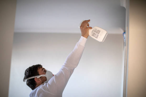 Best Emergency Mold Removal  in Hedwig Village, TX