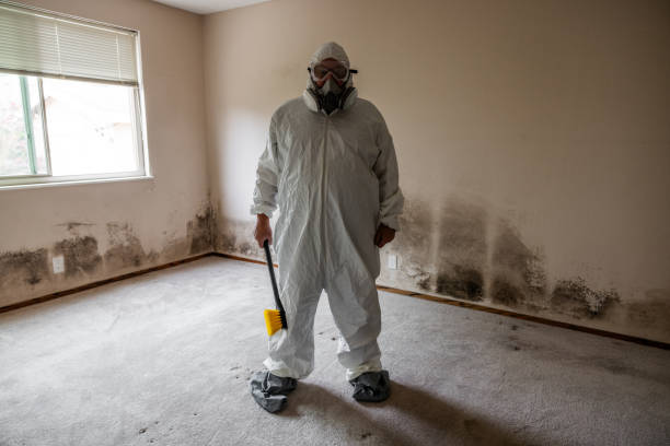 Best Residential Mold Removal  in Hedwig Village, TX